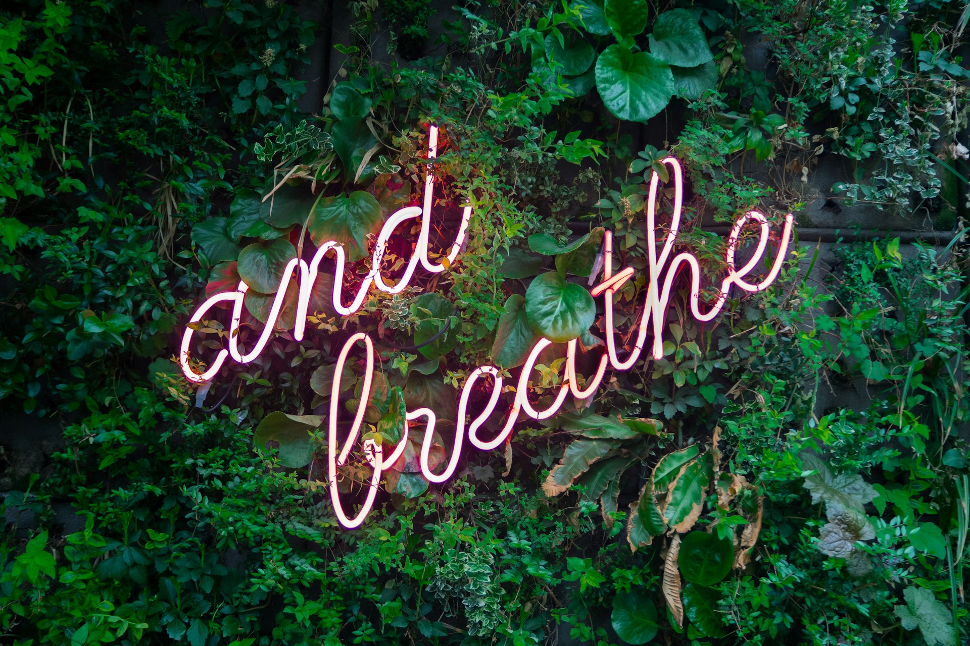 Wellness Treatments Book Online